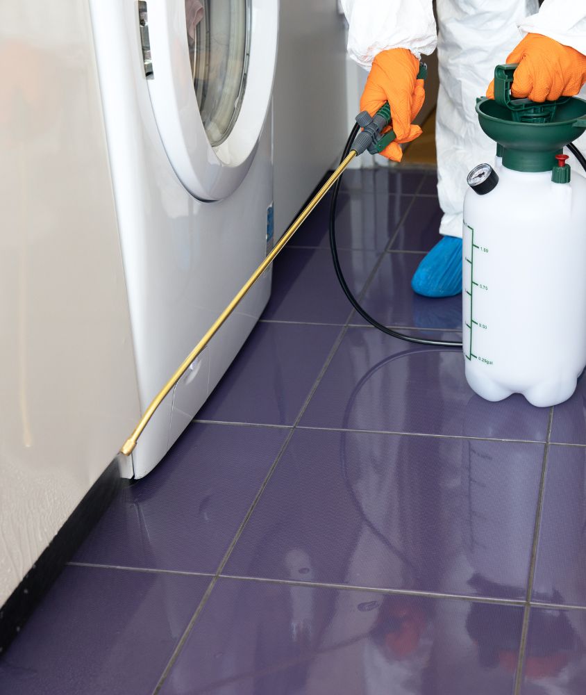 Dedetização em Aparecida de Goiânia