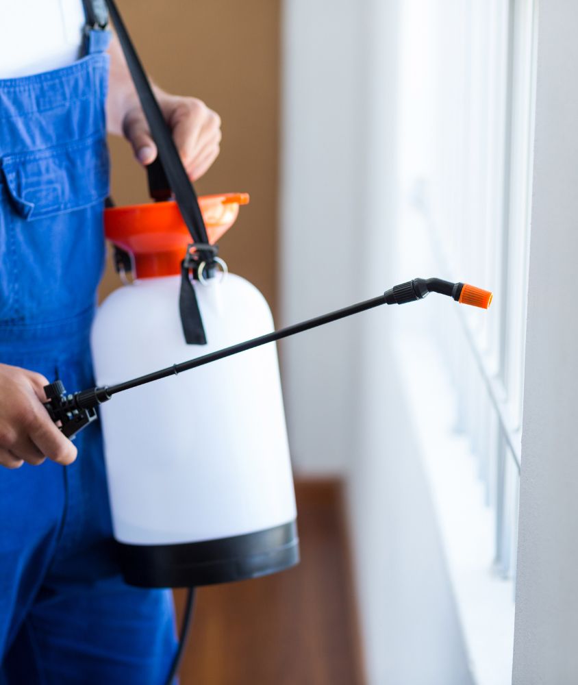 dedetizador em Aparecida de Goiânia