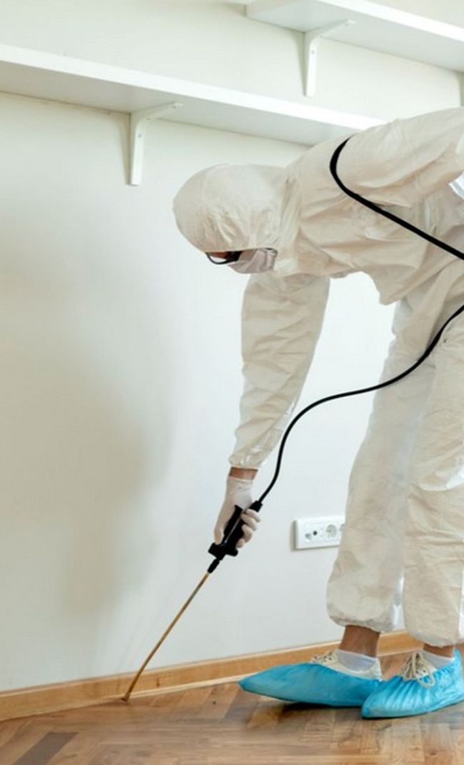 dedetizadora em Aparecida de Goiânia